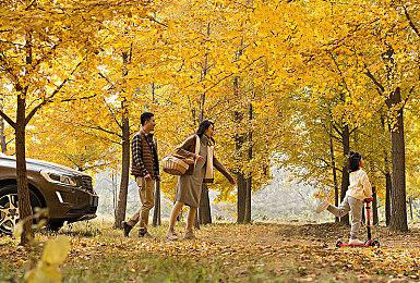 《怪物圣所》将在PC和主机平台上推出免费DLC “被遗忘的世界”